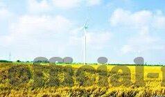 2021糖心app下载安装ios-2021年iOS端下载安装糖心的温馨指南