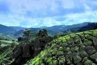 91麻豆精品一二三区在线-打破常规的数字91麻豆精品，探索在线娱乐新风尚