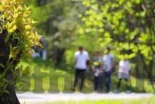 国产视频91麻豆-探索国产影视新视野，麻豆影视平台的文化与影响
