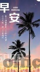 麻豆视频极品-探寻网络文化的多元视角，麻豆视频极品的真实面貌
