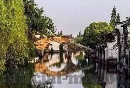 麻豆文化传媒入口-麻豆文化探索之旅，一个创意与艺术交融的新篇章