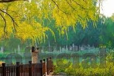 蜜桃传媒视频麻豆第一区免费观看-社交关注，蜜桃传媒，麻豆星空资源之门
