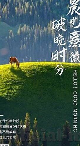 日一区二区三区-城市新貌，日一区、二区、三区的和谐共生