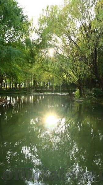 台湾果冻传媒52部-台湾果冻传媒的多元文化探索与艺术呈现