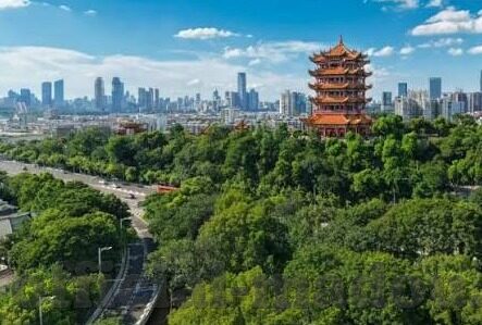 亚洲人妻一区在线-亚洲文化与家庭观念的细腻描绘——以网络空间中的一区现象为视角
